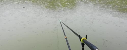 下雨天是否容易垂钓黄尾鱼，蒙蒙细雨天更容易钓获