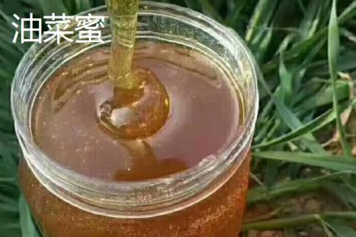 柑橘蜜和油菜蜜的区别，柑橘蜜市场上比较少