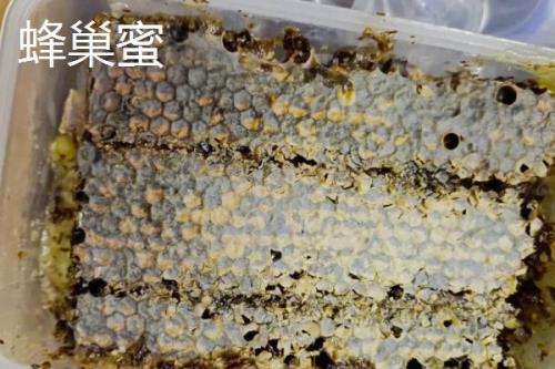 蜂巢蜜和蜂蜜的区别，形态和价格均不同