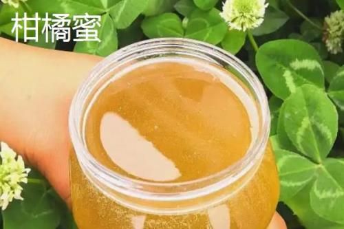 柑橘蜜和油菜蜜的区别，柑橘蜜市场上比较少