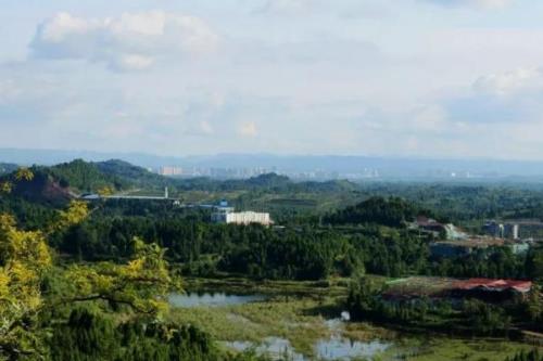 四川省营山县的特产，油豆腐、咂酒、酸辣豆花很有名