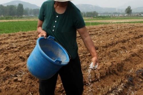 复合肥是直接撒还是溶水使用，通常采取条施或者是穴施