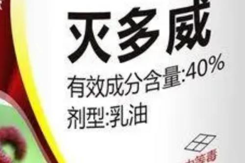 桑树发生病虫害之后用什么药，江浙等蚕桑产区主要使用灭多威乳油