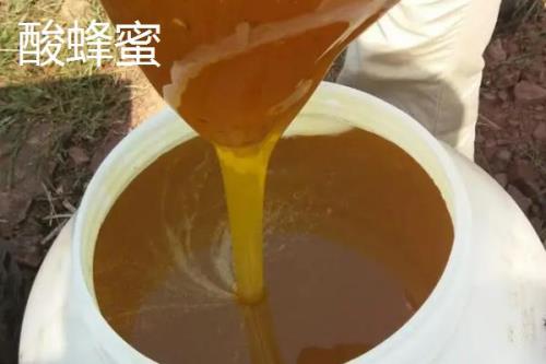 普通蜂蜜和酸蜂蜜有什么区别，蜂种、蜜源、性状都不同